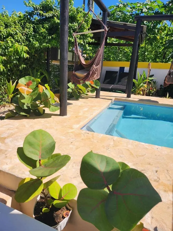 Tropicoco Pool House Steps From The Beach Puerto Nuevo Holiday home